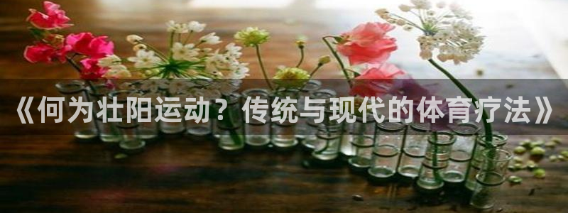 bbin视讯游戏平台：《何为壮阳运动？传统与现代的体育疗法》
