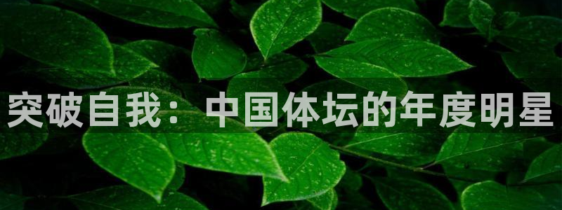 bbin视讯下：突破自我：中国体坛的年度明星