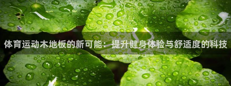 bbin视讯游戏平台：体育运动木地板的新可能：提升健身体验与舒适度的科技