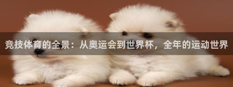 bbin视讯游戏平台：竞技体育的全景：从奥运会到世界杯，全年的运动世界