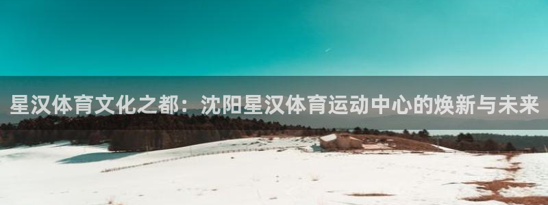 bbin视讯：星汉体育文化之都：沈阳星汉体育运动中心的焕新与未来