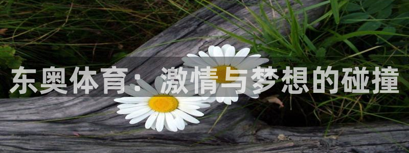 bbin视讯：东奥体育：激情与梦想的碰撞