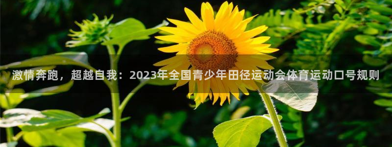 bbin视讯：激情奔跑，超越自我：2023年全国青少年田径运动会体育运动口号规则