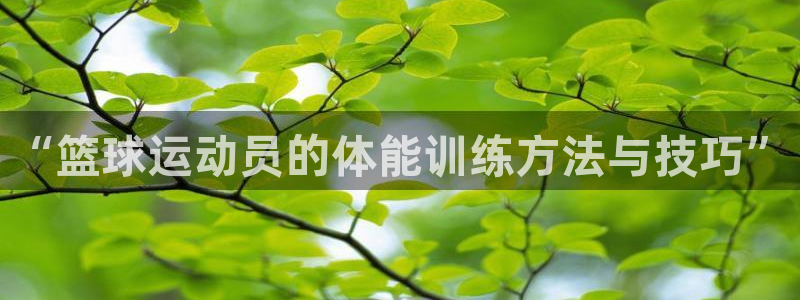bbin视讯下：“篮球运动员的体能训练方法与技巧”